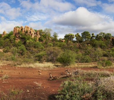 Картинка Singita Lebombo Lodge 40 Фото Singita Lebombo Lodge 40