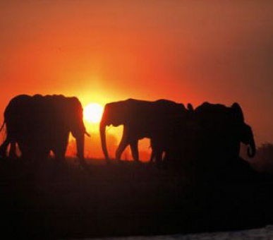 Картинка 2 Фото 2