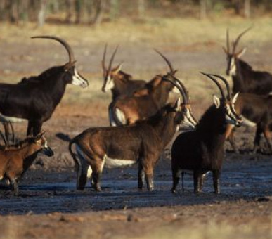 Картинка 1 Фото 1