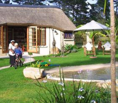 Картинка 6 Фото 6