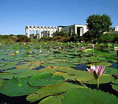 Картинка 7 Фото 7