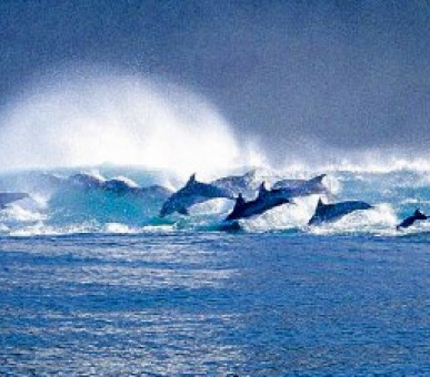 Картинка 2 Фото 2