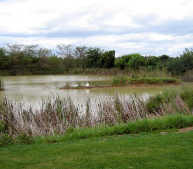 Картинка 2 Фото 2