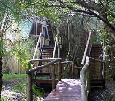 Картинка 8 Фото 8