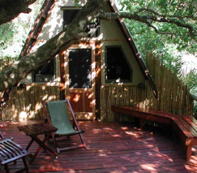 Картинка 10 Фото 10