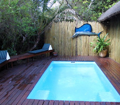 Картинка 9 Фото 9