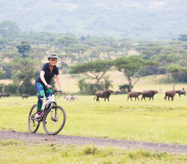 Картинка 13 Фото 13