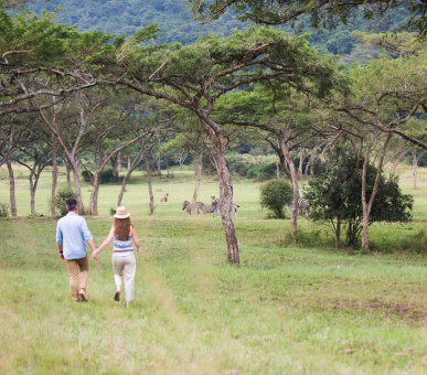 Картинка 12 Фото 12