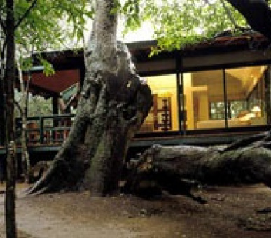 Картинка 2 Фото 2