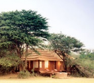 Картинка 1 Фото 1