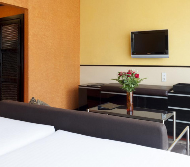 Картинка AC Palacio de Santa Paula (Испания, Гранада) 29 Фото AC Palacio de Santa Paula (Испания, Гранада) 29