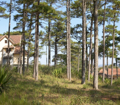 Картинка 6 Фото 6