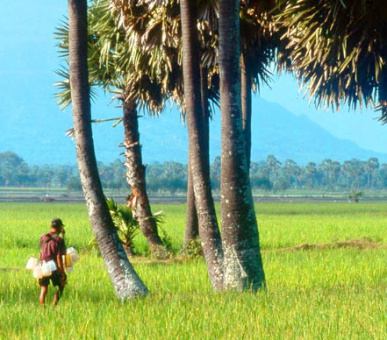 Картинка 1 Фото 1