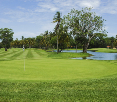 Картинка The Fairmont Acapulco Princess (Мексика, Акапулько) 30 Фото The Fairmont Acapulco Princess (Мексика, Акапулько) 30