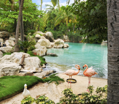 Картинка The Fairmont Acapulco Princess (Мексика, Акапулько) 35 Фото The Fairmont Acapulco Princess (Мексика, Акапулько) 35