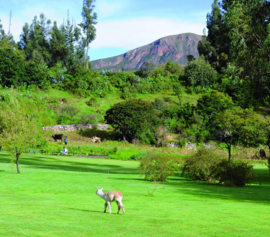 Картинка Rio Sagrado (Перу, Священная Долина Инков) 13 Фото Rio Sagrado (Перу, Священная Долина Инков) 13