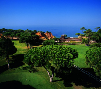 Картинка 10 Фото 10