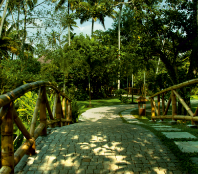 Картинка Carnoustie Beach Resort 44 Фото Carnoustie Beach Resort 44