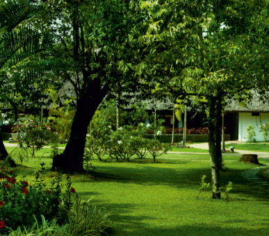 Картинка Carnoustie Beach Resort 39 Фото Carnoustie Beach Resort 39