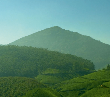 Картинка Carnoustie Beach Resort 22 Фото Carnoustie Beach Resort 22