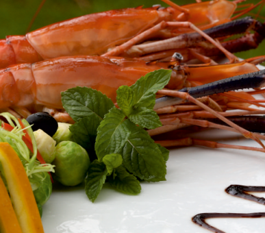 Картинка Carnoustie Beach Resort 7 Фото Carnoustie Beach Resort 7