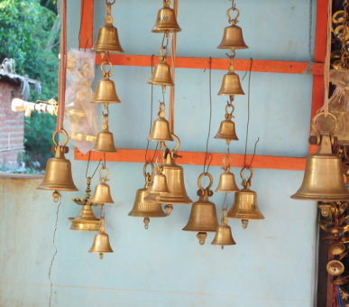 Картинка SwaSwara (Индия, Керала / Ковалам) 21 Фото SwaSwara (Индия, Керала / Ковалам) 21