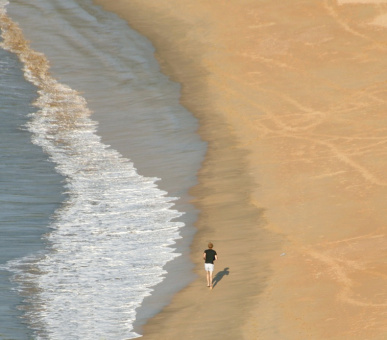 Картинка SwaSwara (Индия, Керала / Ковалам) 12 Фото SwaSwara (Индия, Керала / Ковалам) 12