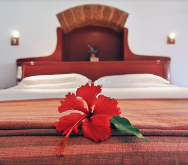 Картинка SwaSwara (Индия, Керала / Ковалам) 22 Фото SwaSwara (Индия, Керала / Ковалам) 22