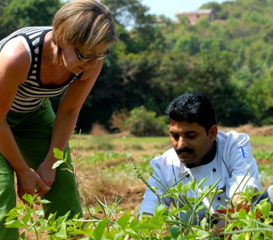 Картинка SwaSwara (Индия, Керала / Ковалам) 16 Фото SwaSwara (Индия, Керала / Ковалам) 16