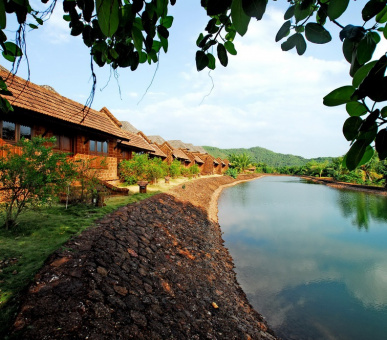 Картинка SwaSwara (Индия, Керала / Ковалам) 14 Фото SwaSwara (Индия, Керала / Ковалам) 14