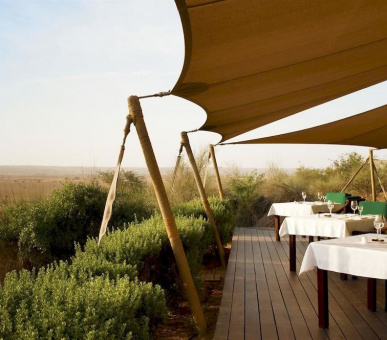 Картинка Al Maha Desert Resort Dubai (Дубаи, Аравийская Пустыня) 36 Фото Al Maha Desert Resort Dubai (Дубаи, Аравийская Пустыня) 36