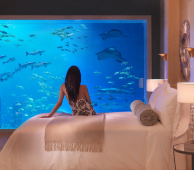 Фото Atlantis The Palm (Дубаи, Остров Палм Джумейра) 20