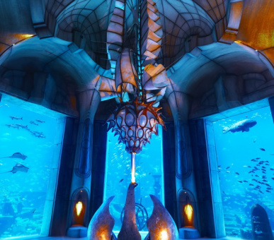 Фото Atlantis The Palm (Дубаи, Остров Палм Джумейра) 2