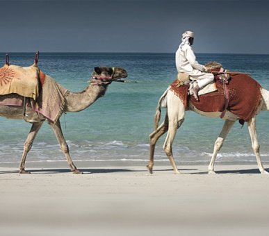 Картинка The Ritz Carlton Dubai 38 Фото The Ritz Carlton Dubai 38