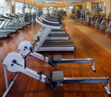 Картинка Jumeirah Al Qasr (Дубаи, Джумейра) 60 Фото Jumeirah Al Qasr (Дубаи, Джумейра) 60