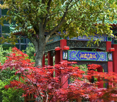 Фото Sofitel Xian on Renmin Square (Китай, Сиань) 5