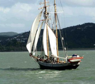 Картинка The Boathouse Luxury Apartments (Новая Зеландия, Бей-оф-Айлендс) 10 Фото The Boathouse Luxury Apartments (Новая Зеландия, Бей-оф-Айлендс) 10