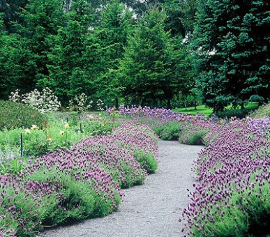 Картинка 4 Фото 4