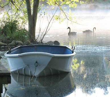 Картинка 1 Фото 1