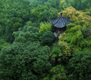 Картинка Shangri-La Hotel, Hangzhou (Китай, Ханчжоу) 12 Фото Shangri-La Hotel, Hangzhou (Китай, Ханчжоу) 12