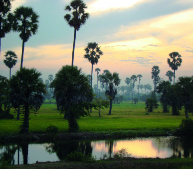 Картинка Eastern 22 Фото Eastern 22