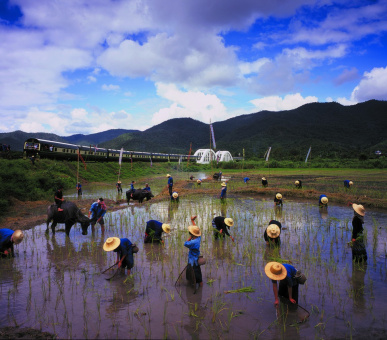 Картинка Eastern 20 Фото Eastern 20