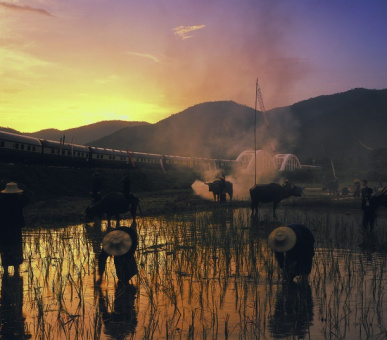 Картинка Eastern 21 Фото Eastern 21