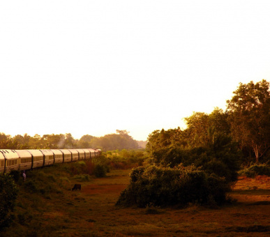 Картинка Eastern 24 Фото Eastern 24