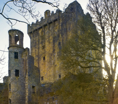 Фото Belmond Grand Hibernian (Круизы, Железнодорожные круизы) 7