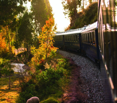 Картинка Belmond Hiram Bingham | Перу (Круизы, Железнодорожные круизы) 16 Фото Belmond Hiram Bingham | Перу (Круизы, Железнодорожные круизы) 16