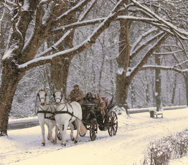 Фото Brenners Park - Hotel  41