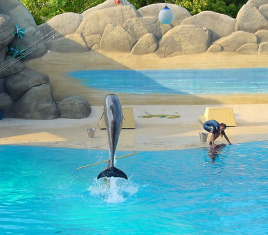 Картинка Gardaland (Озеро Гарда, Парки развлечений) 32 Фото Gardaland (Озеро Гарда, Парки развлечений) 32