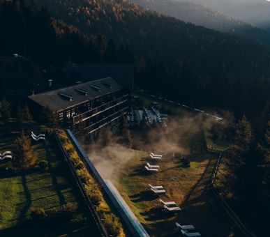 Картинка Forestis 9 Фото Forestis 9