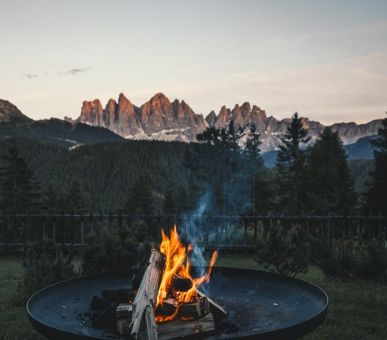 Картинка Forestis 6 Фото Forestis 6